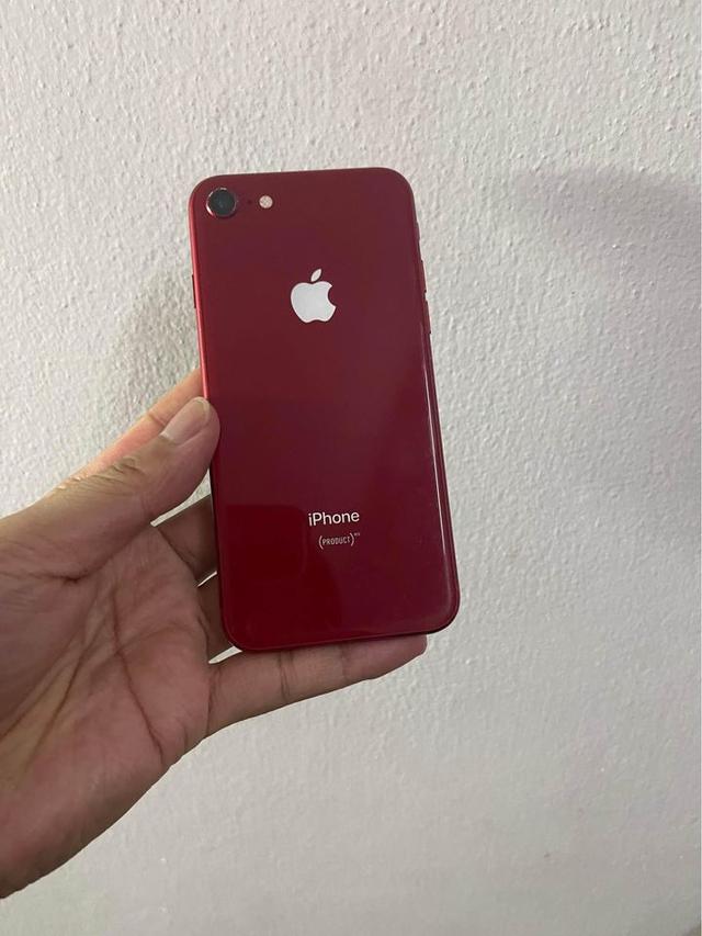 โทรศัพท์ iPhone 8 256 GB สีแดง สภาพดี ใช้งานได้ปกติ  1