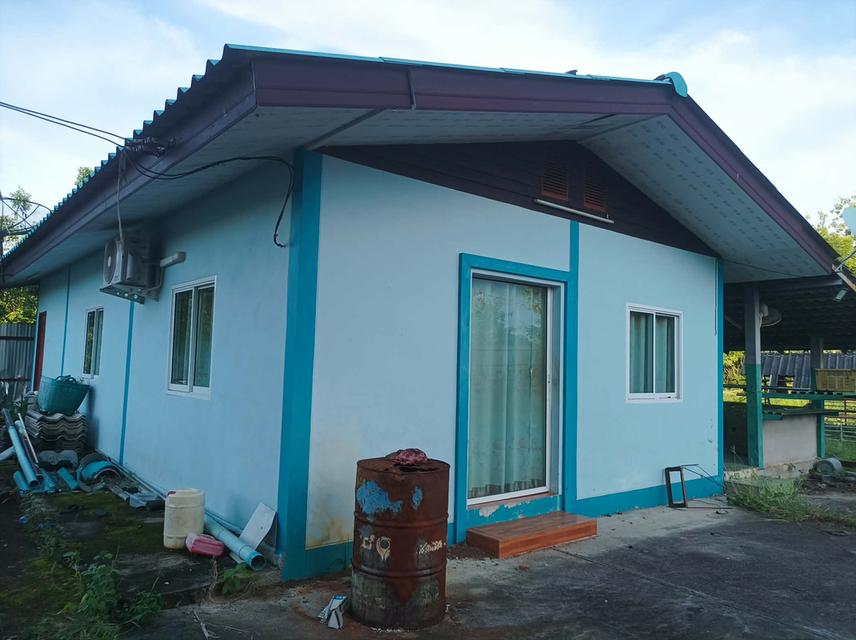 ขายที่ดิน(โรงงานเก่า) ต.แม่คือ อ.ดอยสะเก็ด จ.เชียงใหม่ 12