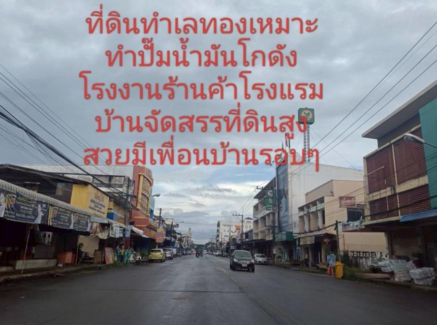 ขายที่ดินติดถนนทางหลวงแผ่นดินเส้นหนองคายบึงกาฬ 25 ไร่ 6
