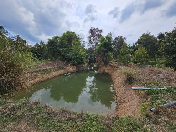 ขายที่ดินพร้อมสวนผลไม้ 5 ไร่  อำเภอนายายอาม จันทบุรี 6