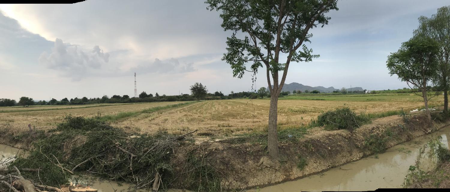 ขายที่ดิน 12 ไร่ ใกล้ชุมชน ตำบล กลอนโด อำเภอ ด่านมะขามเตี้ย จังหวัด กาญจนบุรี ติดถนน และ คลองส่งน้ำ เหมาะสำหรับทำการเกษตร และ ที่อยู่อาศัย 11
