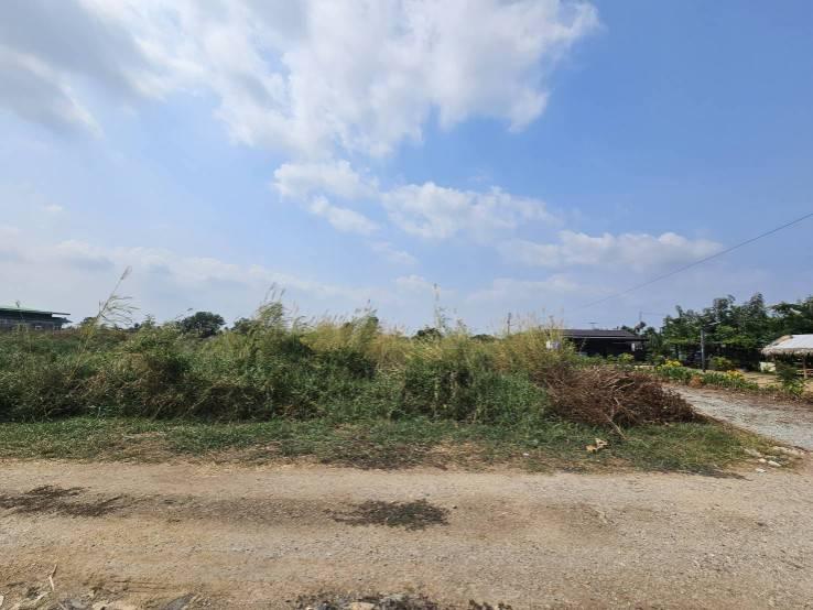 ขายที่ดินเปล่า แปลงมุม  ติดถนน 2 ด้าน ซอยวัดศรีวารีน้อย  อำเภอบางเสาธง สมุทรปราการ 1