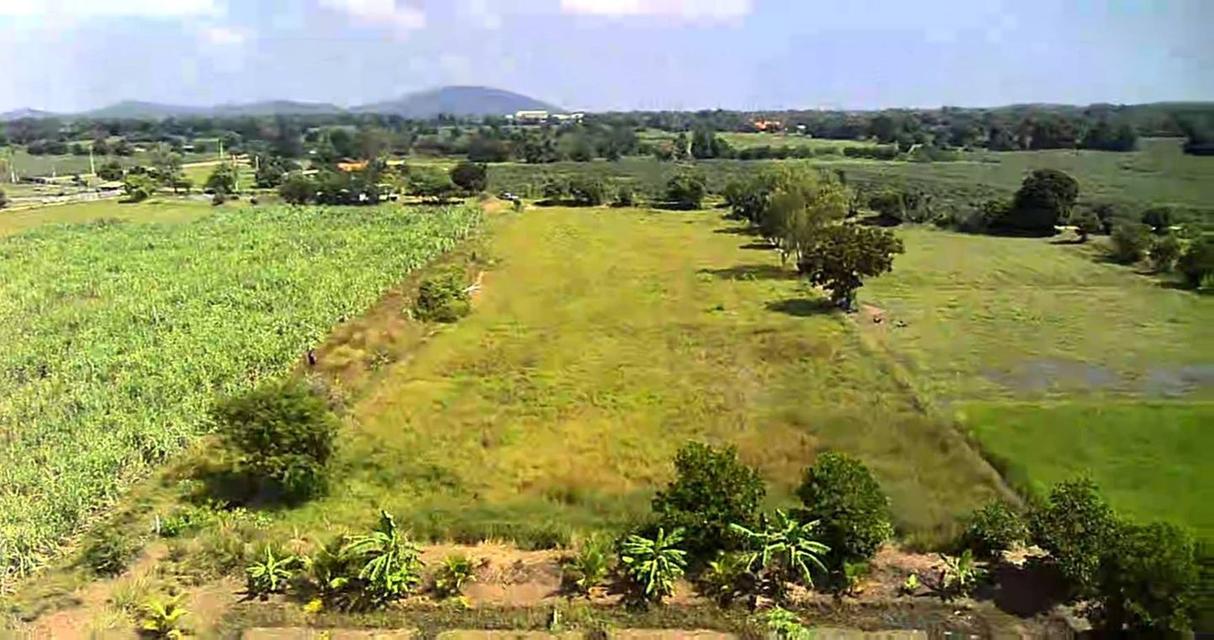 ขายที่ดินเปล่า ทำเลดี ติดถนนปูน ไฟฟ้าถึง จังหวัดสุพรรณบุรี 11