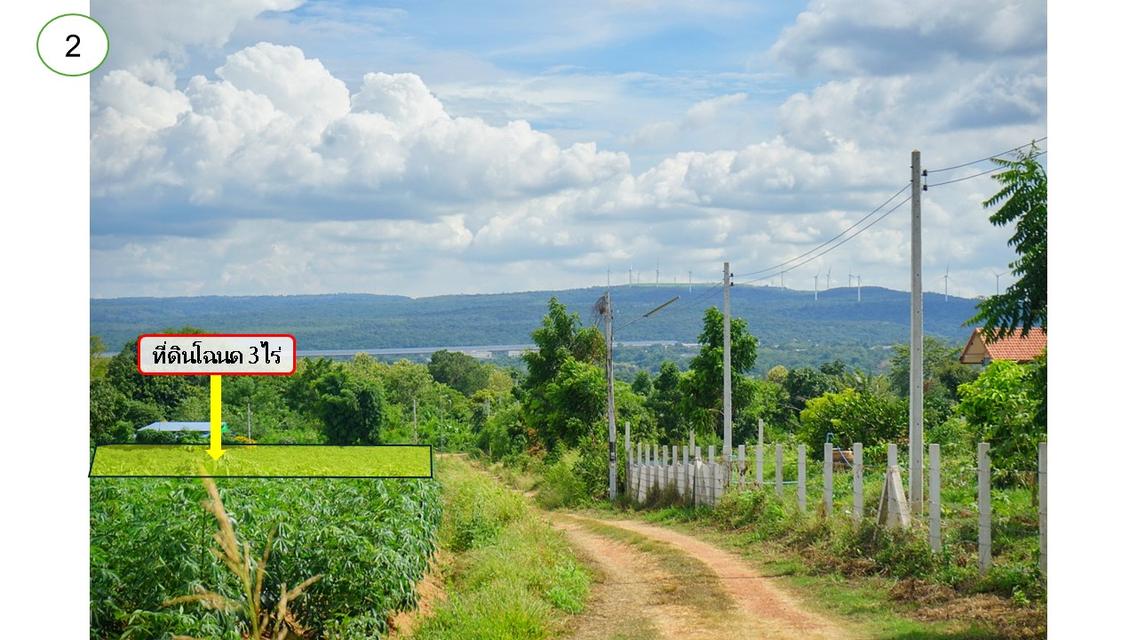 ขายที่ดินโฉนดครุฑแดง 1