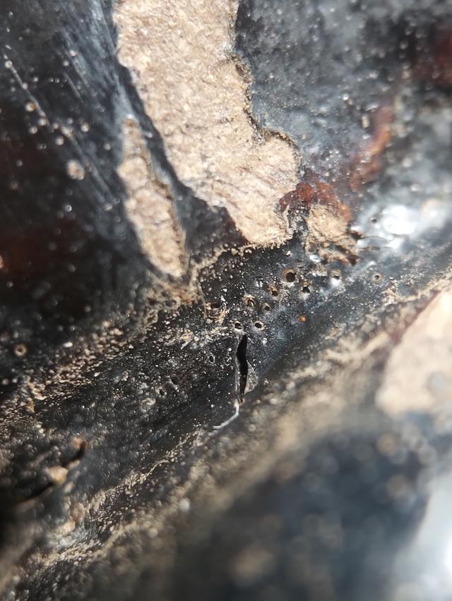 ขายพระเครื่องพระบูชา รูปที่ 14