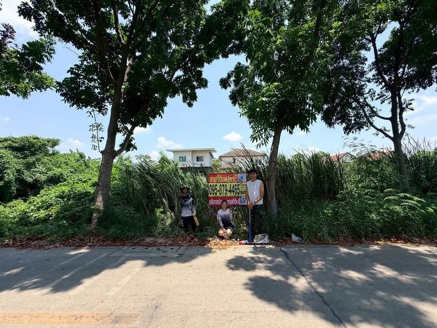 Vายที่ดินใกล้ม.กรุงเทพธนบุรี 100 ตารางวา ติดถนนคอนกรีตทวีวัฒนา 25 แยก7 แขวงบางพรม กรุงทพมหานคร 2