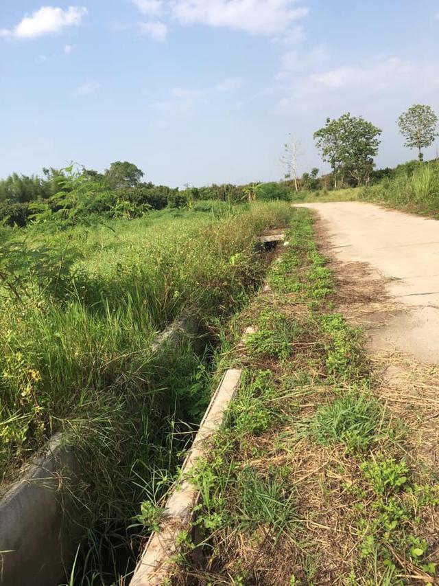 ที่ดินให้เช่า จ.เชียงใหม่