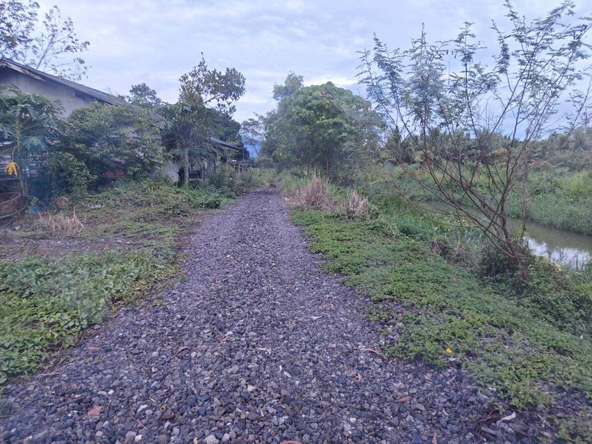 ขายที่ดินติดคลอง 11