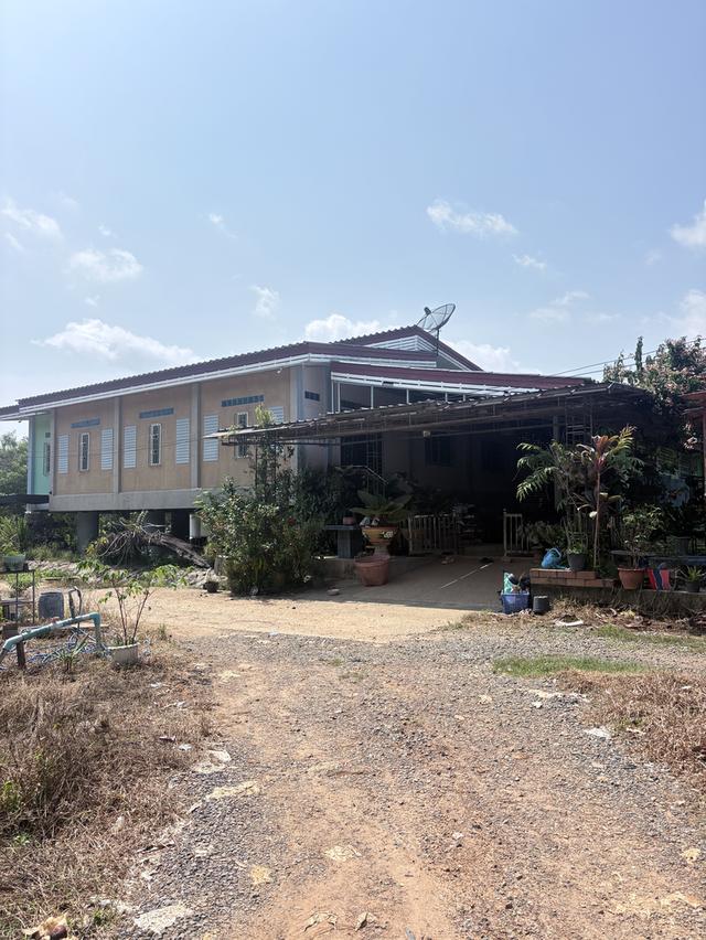 ที่ดิน18ไร่กว่าสวนทุเรียนกับมังคุดมีบ้านพักพร้อมอยู่น้ำไม่มีขาดไฟฟ้าเข้าถึงโฉนด 7
