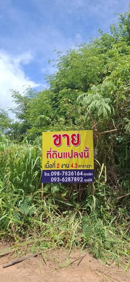 ที่ดินทำเลทอง ติดตลาดหนองไผ่ศิลา จ.ขอนแก่น เนื้อที่2งาน ติดถนนหลัก 1