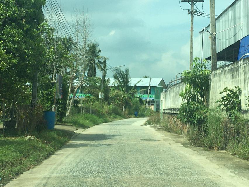 ขายที่ดิน 4ไร่ 3งาน โซนนาวัง,ตะเคียนเตี้ย ใกล้ถนนคู่ขนานมอเตอร์เวย์ (7) ห่าง 500เมตร ผังเมือง EEC สีเหลืองอ่อน ตำบลตะเคียนเตี้ย อำเภอบางละมุง 2