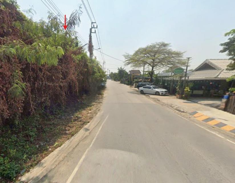 ขายที่ดิน 5-3-29.1 ไร่ ติดถนนอัจฉริยะประสิทธิ์ 1 ใกล้เซ็นทรัล เวสต์วิลล์ 1