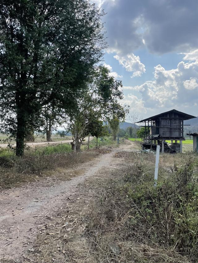 ที่ดินเชียงราย 5 ไร่ 8