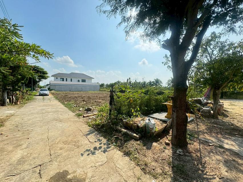 ที่ดินตำบลหนองช้างคืน จ.ลำพูน 4