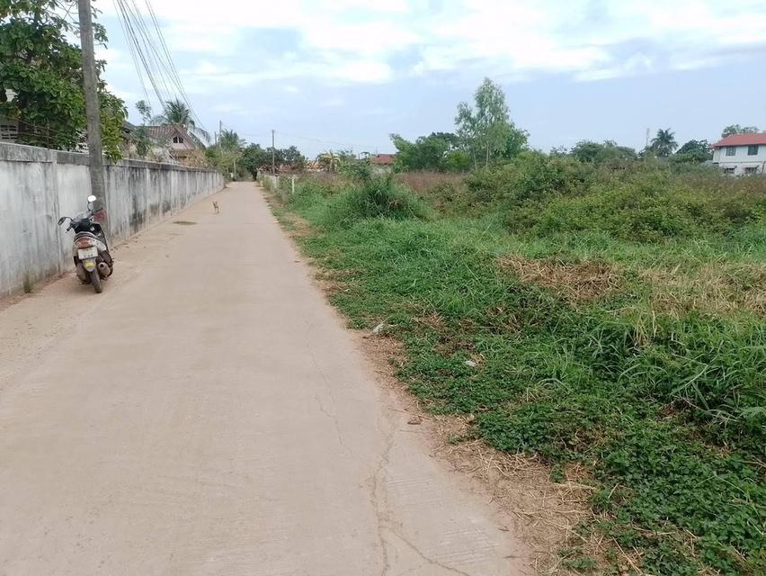 ขายที่ดินราคาไม่แพงในจังหวัดอุดรธานี 1 ไร่หลังแม็คโครสาขา 2 2