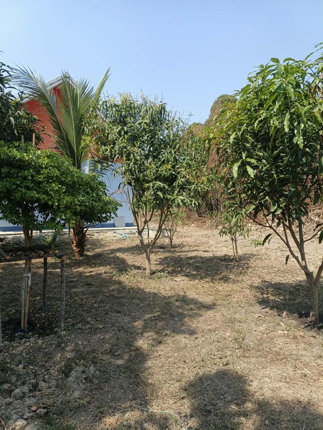 ที่ดินและบ้านพร้อมอยู่ 14