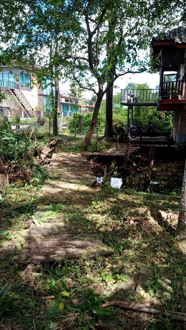 ขายที่ดินพร้อมสิ่งปลูกสร้างใน จ.สุราษฎร์ 19