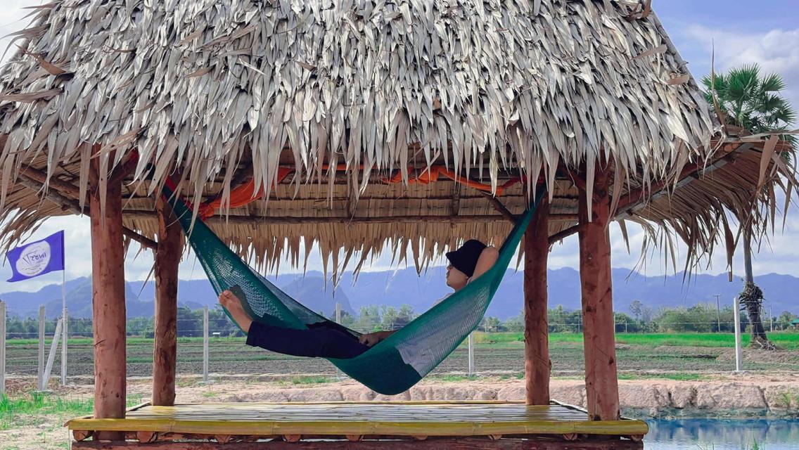 ที่ดินสวย วิวภูเขา สาธารณูปโภคครบ 2 แปลงสุดท้าย 6