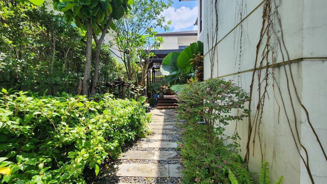 ขายบ้านเดี่ยว เดอะ ซิตี้ บางนา กม.7 บ้านหลังใหญ่ ตกแต่งสวย ทำเลดี ใกล้เมกาบางนา 6