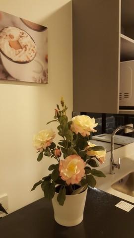 ให้เช่า The Origin รามอินทรา 83 สเตชั่น พร้อมอยู่ ใกล้รถไฟฟ้าสายสีชมพู สถานีรามอินทรา กม.9 ตรงข้าม รพ.สินแพทย์ 6