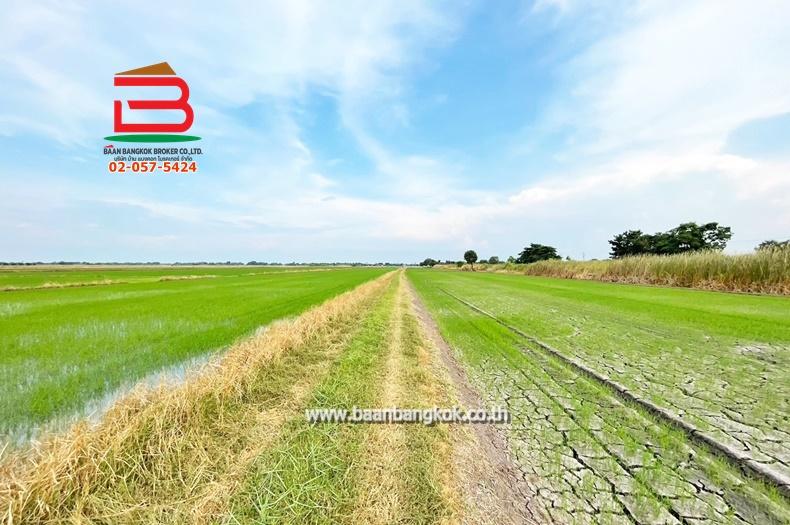 ที่ดินเปล่า เนื้อที่ 5 ไร่ คู้คลองสิบ แยก12 ถนนคู้คลองสิบ แขวงคลองสิบ เขตหนองจอก 3