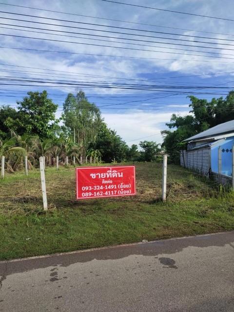 ขายที่ดิน ซอย 3 ต.พานพร้าว อ.ศรีเชียงใหม่ จ.หนองคาย ถนนริมโขง 2