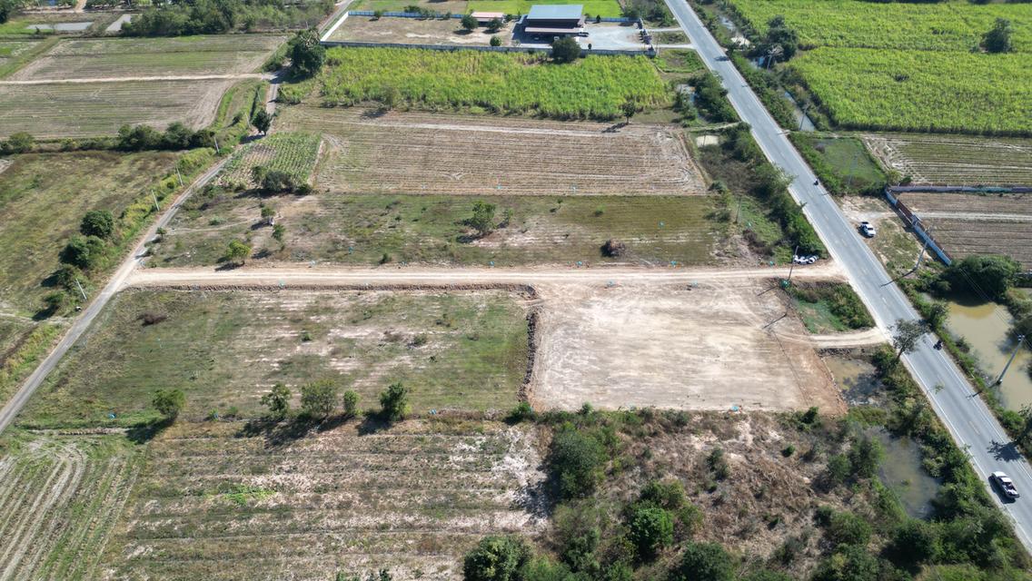 ขายที่ดินสุพรรณบุรี ราคาถูก ถมแล้ว ติดถนนเส้นหลักกรุงเทพ-ด่านช้าง ทำเลดี น้ำไม่ท่วม เหมาะสร้างบ้านหรือทำธุรกิจ อ. หนองหญ้าไทร ใกล้กรุงเทพ 2 ชั่วโมง 5