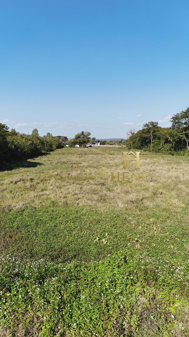 ขายที่ดินติดถนน อ.พาน เชียงราย วิวภูเขา บรรยากาศเงียบสงบ 5