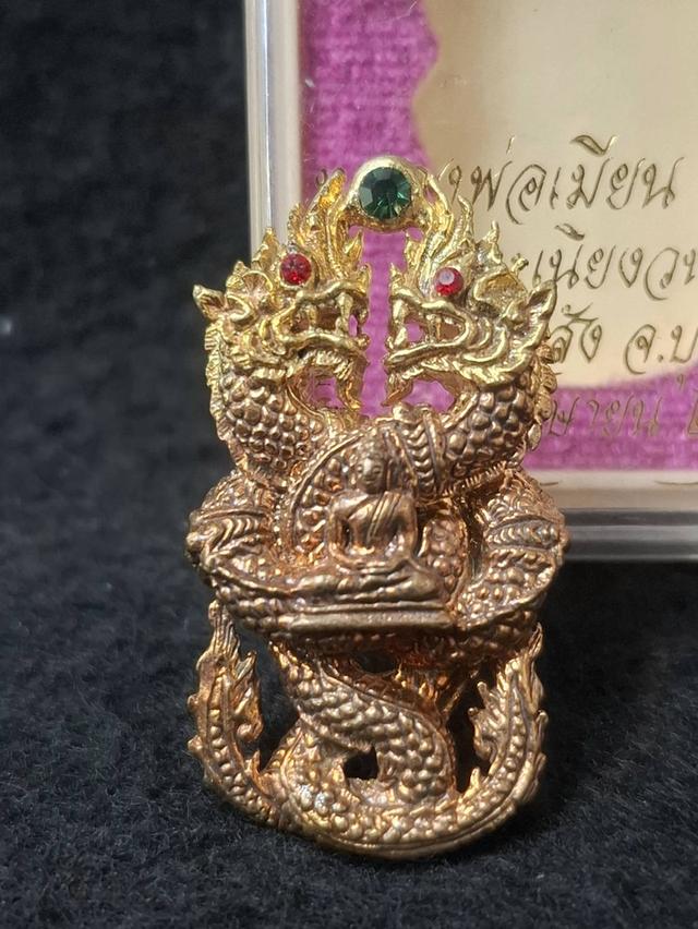 นาคาเปิดโลก หลวงพ่อเมียน กัลยาโณ วัดบ้านจะเนียง จ.บุรีรัมย์ รูปย่อยที่ 4