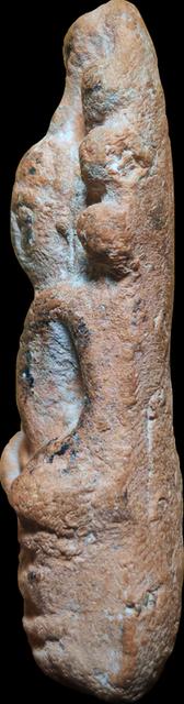 พระเนื้อดิน​ พิมพ์นาคปรก 2