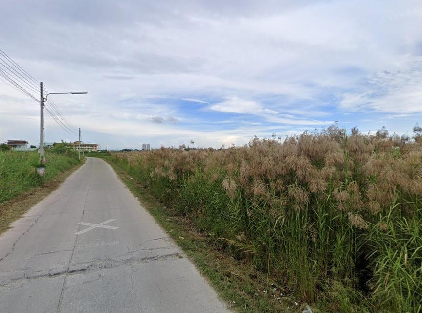 ขายที่ดินทำเลดีบางนาง 7 ไร่ ติดถนนคอนกรีตใกล้นิคมอมตะเพียง-2กม. อ.พานทอง ชลบุรี 4