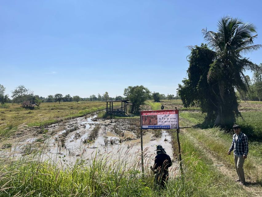 ขายที่ดินทำนา พื้นที่บ้านค้อ ต.ยางตลาด อ.ยางตลาด จ.กฬสินธ์ 5
