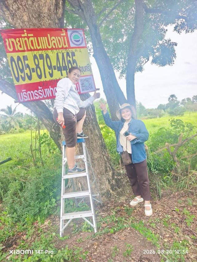 ขายด่วนที่ดิน 100 ตารางวา เหมาะลงทุน คลองสี่ คลองหลวง ปทุมธานี 1