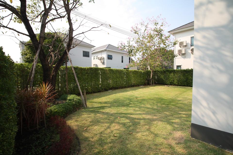 ขายและเช่าบ้านเดี่ยว 2ชั้น โครงการเศรษฐสิริ บางนา กม.10 4