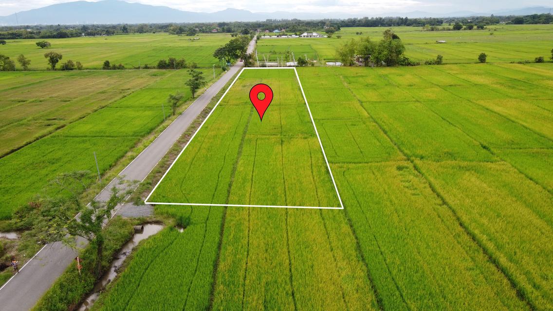 🌄 ขายที่ดิน 2-3-49 ไร่ น้ำ-ไฟ-เน็ตพร้อม หน้ากว้างติดถนนสุดๆ 5