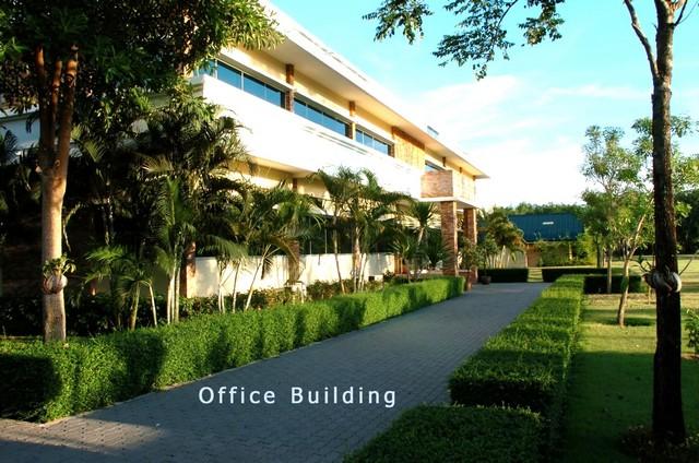 ขาย!! ที่ดินพร้อมโรงงานใหญ่ 29 ไร่กว่า พร้อมใช้งานรวม พท. ใช้สอยเกือบ 13,000 ตร.ม. ทำเลทอง ติดถนน 3377 4