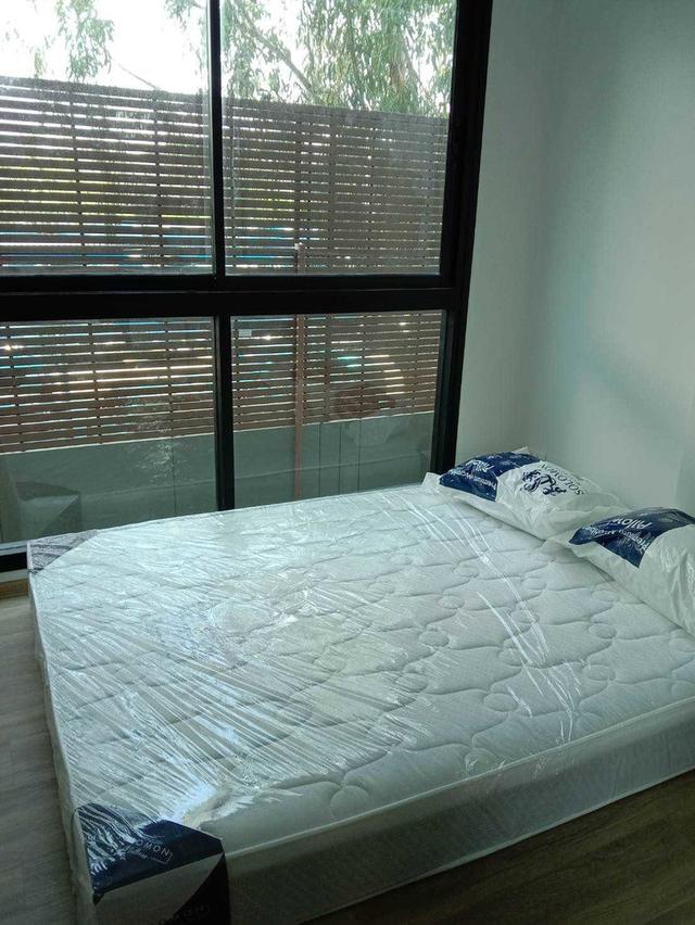 ให้เช่าคอนโด เลี้ยงสัตว์ได้ For Rent: Arlo Lasalle 17 | อาร์โล ลาซาล 17 3