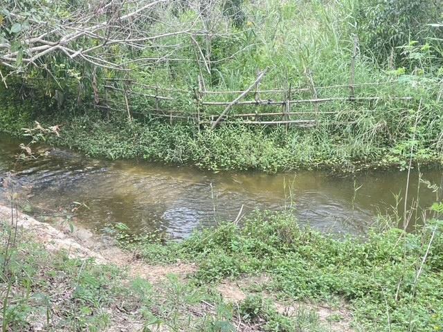 ที่ดินหัวหิน  12ไร่หัวหินทับใต้ไร่ละล้าน 4