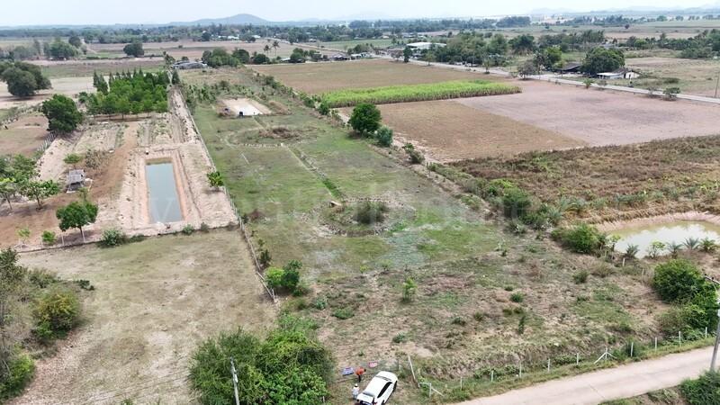 ที่ดินเปล่า 10-3-36 ไร่ ท่าม่วง กาญจนบุรี ปลูกต้นสักทองกว่า 500 ต้น 5