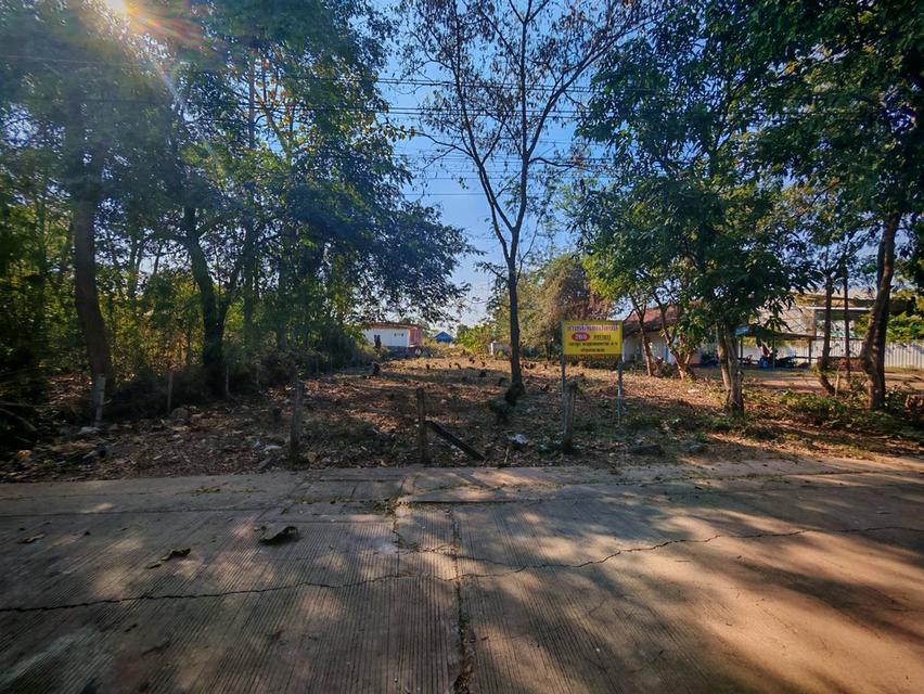 ขายที่ดินสวย ใกล้ทางหลวง ตำบลหนองบัว เมืองอุดรธานี