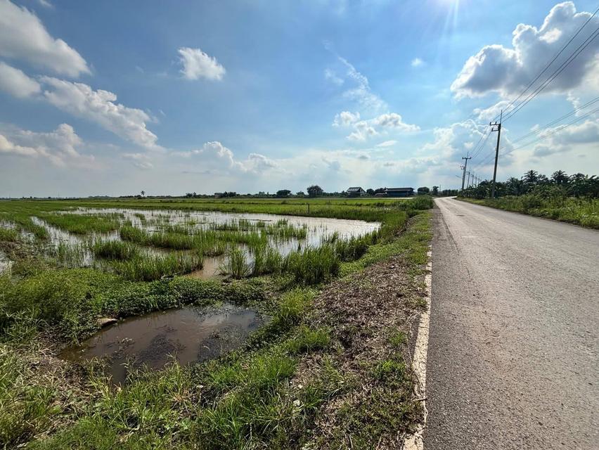 ขายที่ดินดอนเกาะกา 2 ไร่ คลอง21 ติดถนนลาดยางใกล้ถนน5006-1.2กม. อ.บางน้ำเปรี้ยว ฉะเชิงเทรา 3