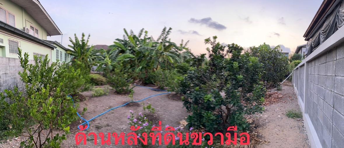 ขายที่ดินเปล่า ติวานนท์27  *  เนื้อที่ดิน 95 ตร.ว.  *  ขนาด15*24 ม.  *  ทำเลดี ใกล้MRTสาย 8