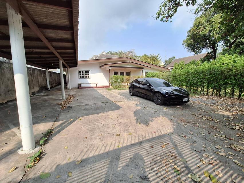 ขายที่ดินแถมบ้านหรือให้เช่า ซ.เสนานิคม 1 ใกล้ปากทาง ขนาด 173 ตารางวา  2