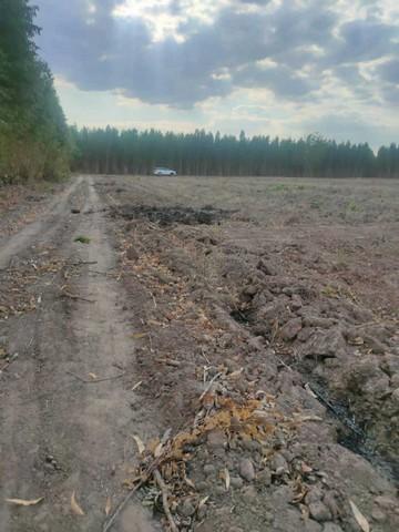 ขายที่ดินผังสีม่วง 16-2-87.3 ไร่ ติดนิคมโรจนะ ปราจีนบุรี หัวหว้า ศรีมหาโพธิ,ปราจีนบุรี 5