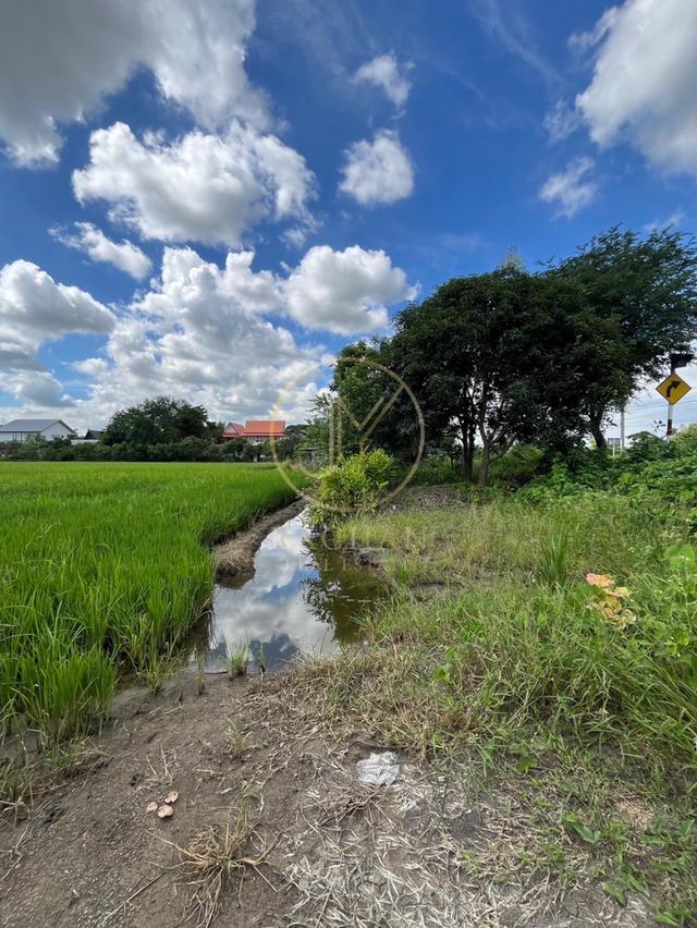 B69-304 ขายด่วน ที่ดินเปล่า ผังสีเขียว ราคาต่ำกว่าตลาด เนื้อที่ 21-0-32 ไร่ ขนาดกว้าง 105 เมตร ความลึก 341 เมตร ซ.วัดต้นเชือก-จงถนอม 4