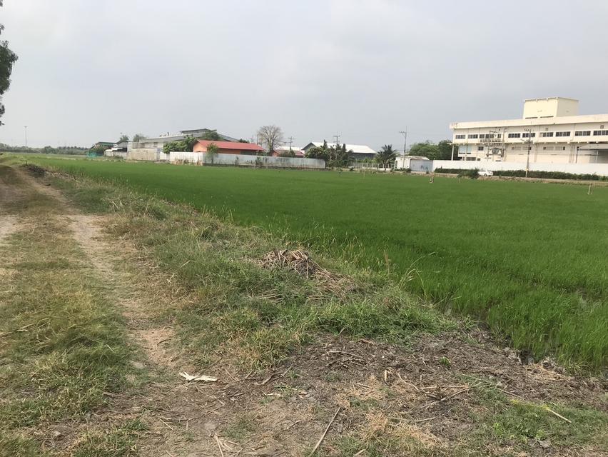 ขายด่วน‼️ ที่ดินแปลงสวย 600 วา –ทำเลศักยภาพสูง 📍คลองโยง ศาลายา นครปฐม