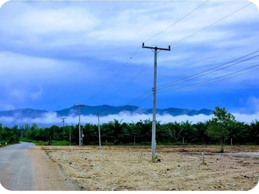 ที่ดิน 1ไร่ ราคาดีมาก กลัดหลวง ท่ายาง เพชรบุรี 4