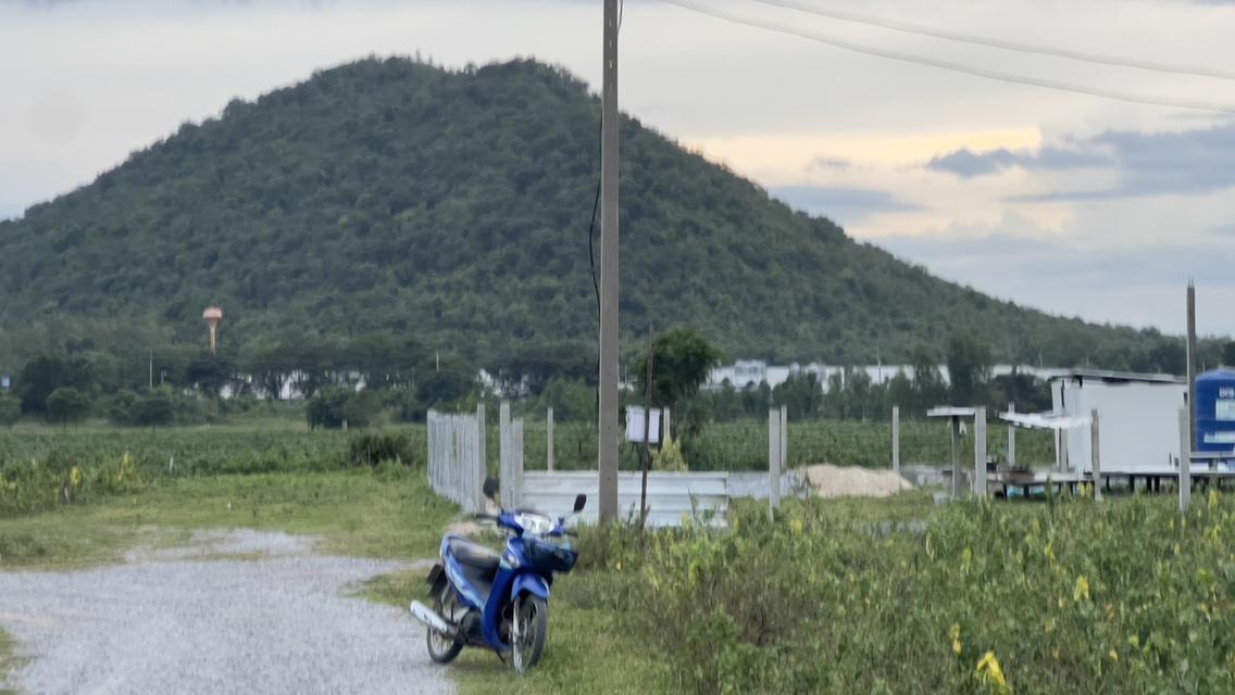 ที่ดิน120ตร.วา วิวสวยหลังเขา เหมากับการทำรีสอร์ต+บ้านพักผ่อนตากอากาศ  14