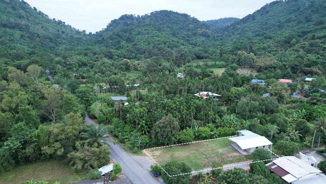 ขายบ้านพร้อมที่ดิน 200 ตารางวา ต.เขาพระ ติดถนนหลัก วิวเขาชัด เหมาะดัดแปลงทำพูลวิลล่า 3