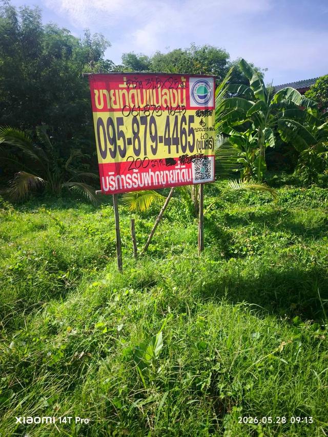 ขายด่วนที่ดิน 200 ตรว(แบ่งได้)ติดถนนสาธารณะ ถมแล้ว พุทธมณฑล สาย ๑ ซอย 35 ตลิ่งชัน กทม 4